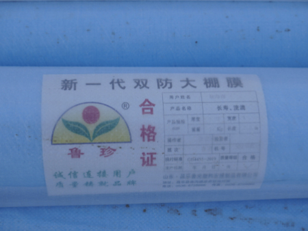 双防二膜